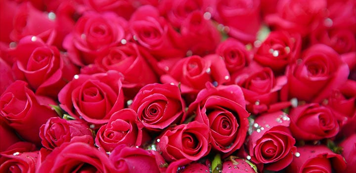 Hochzeitsnacht in einer Suite mit Whirlwanne: dekoriert mit einem Meer von Rosen, Rosenblättern, Tee- und Windlichtern